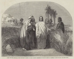 Christ with the Disciples in the Corn-Field